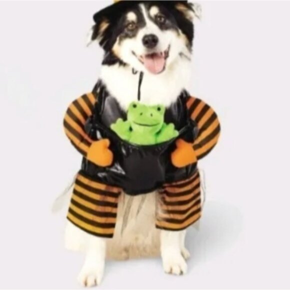 Hyde & EEK! Witch Pet Costume Size Medium Black/Orange Striped Pet Outfit - Picture 1 of 12
